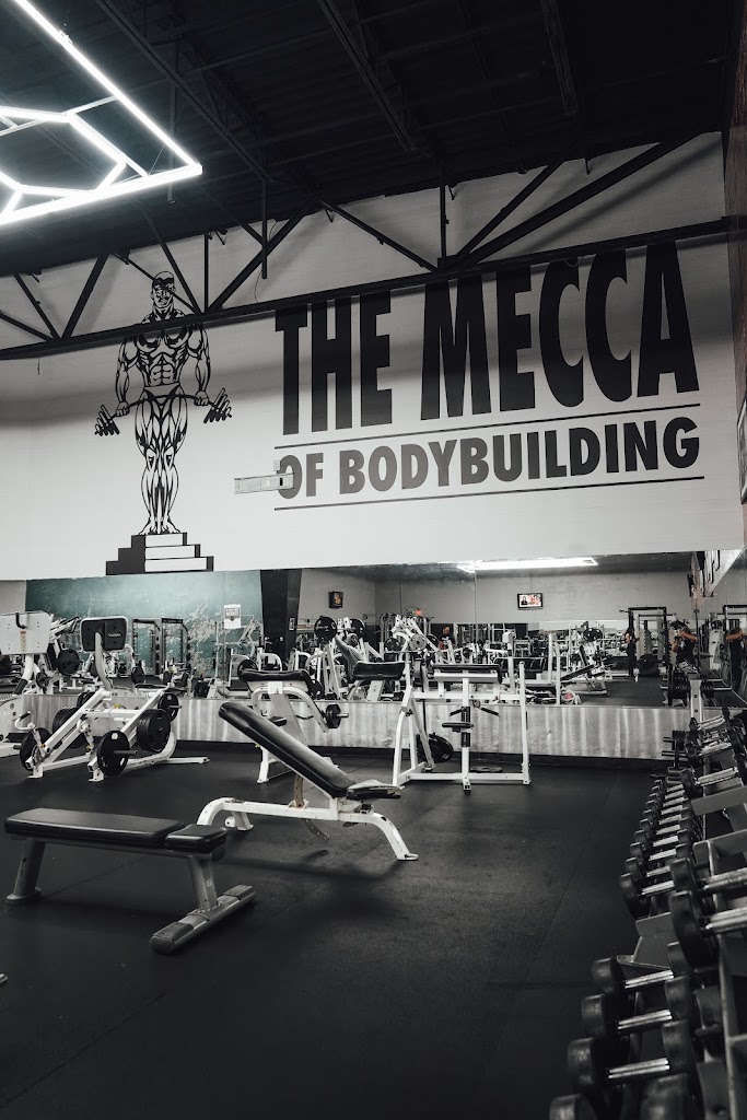  Gold's Gym Randleman