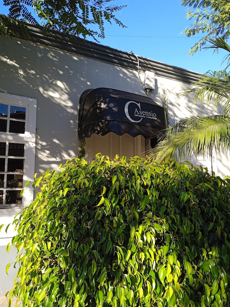 Carmen Asensio Peluqueria y maquillaje