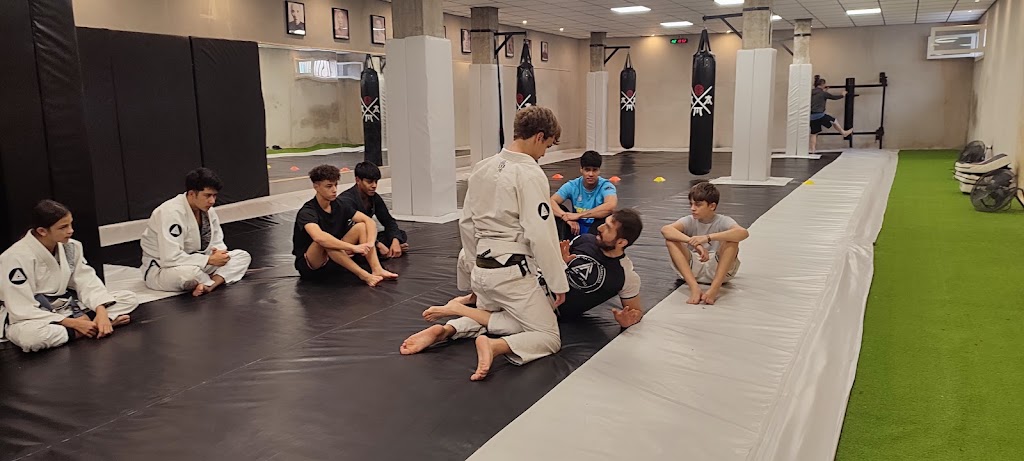 AAM-Academia de Artes Marciales — Arte marcial