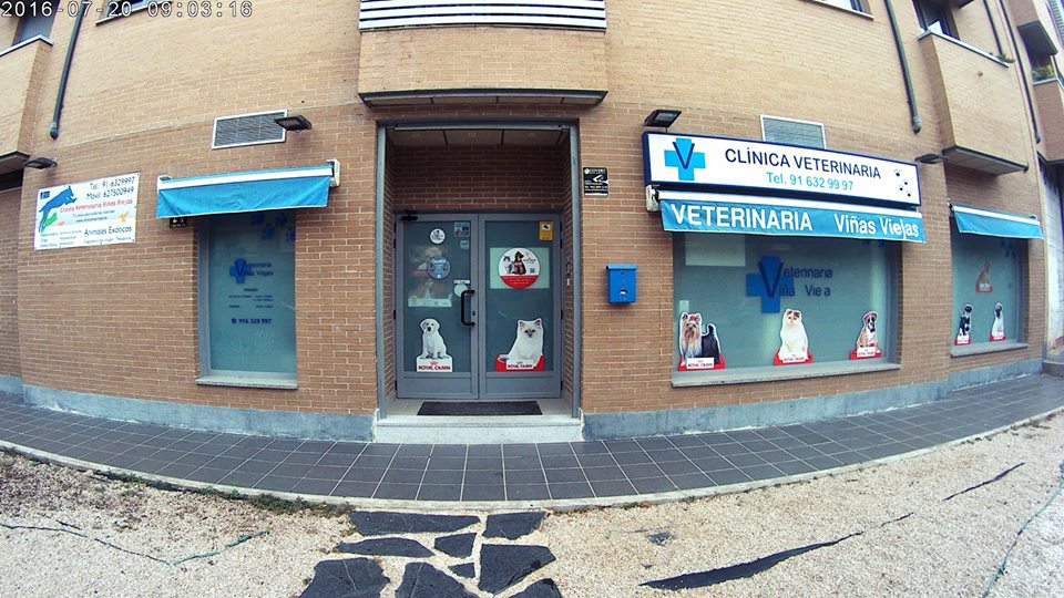 Clinica Veterinaria Vinas Viejas