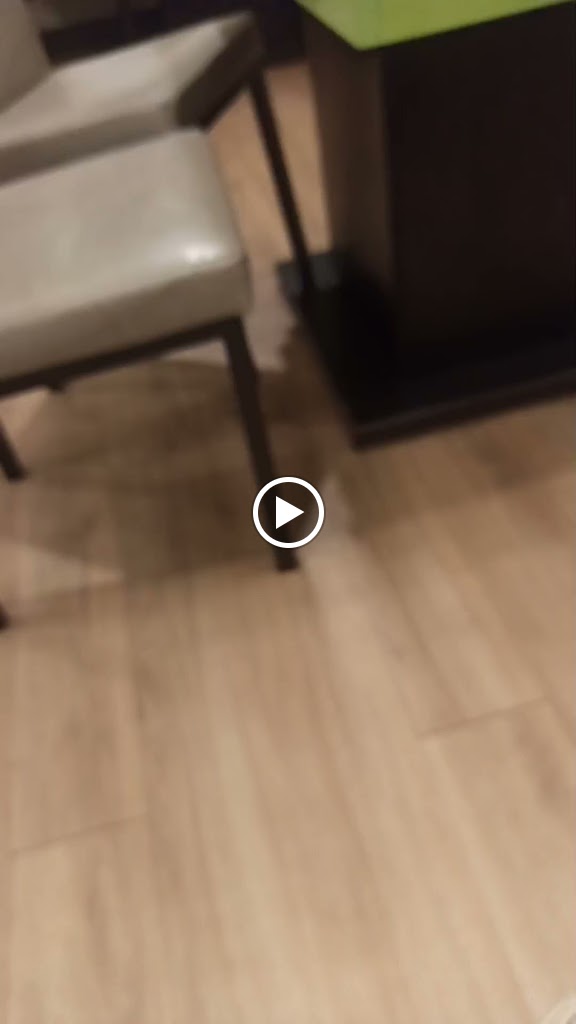 金門鍋賣局 百元火鍋 的照片