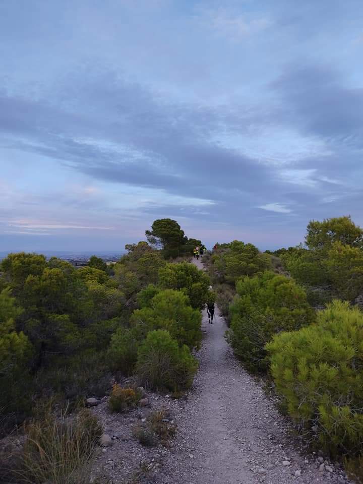Sendero Del Agua