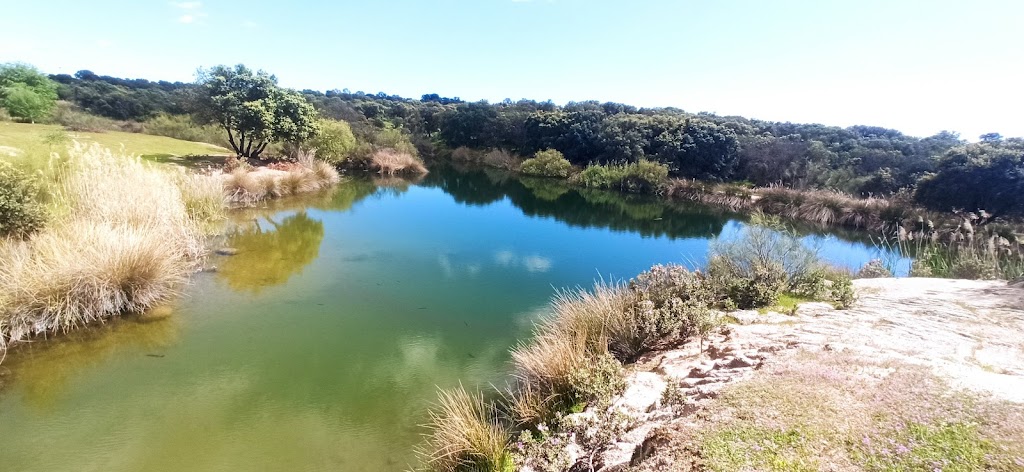 Lago de Burguillos