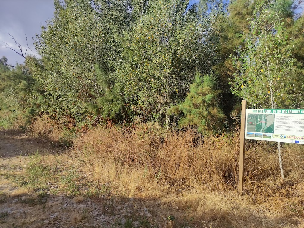 Paraje de la Junta de los Rios