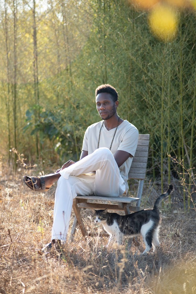 Home Ayurveda Masaje