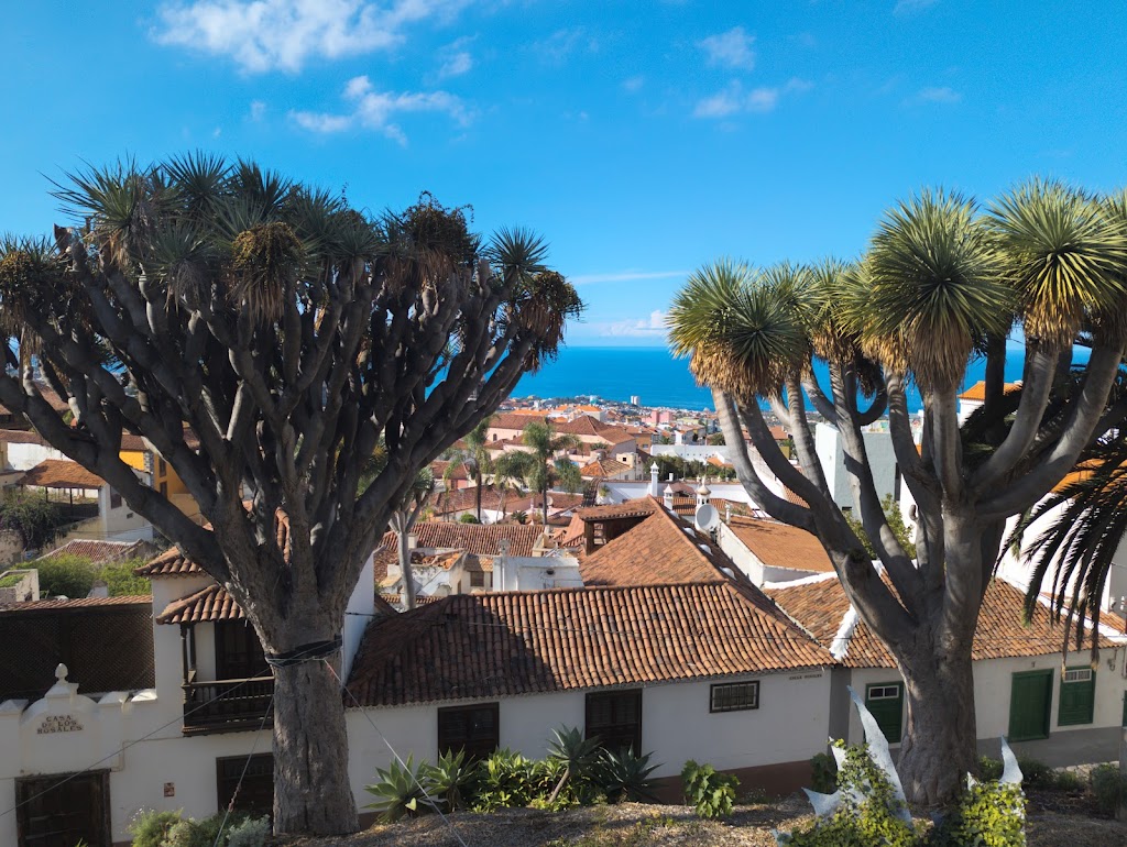 El Bosquito de Dragos