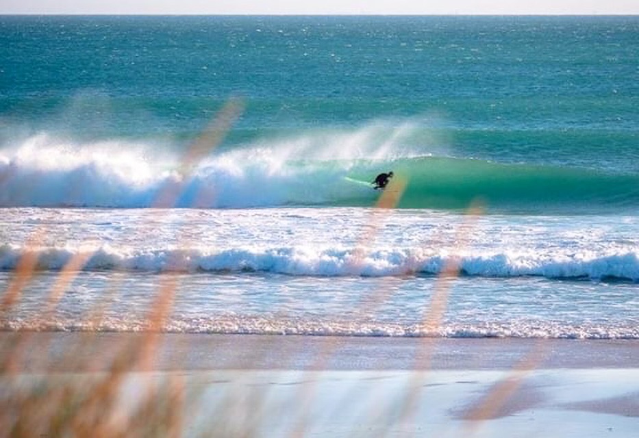 Cutback Escuela Tecnica