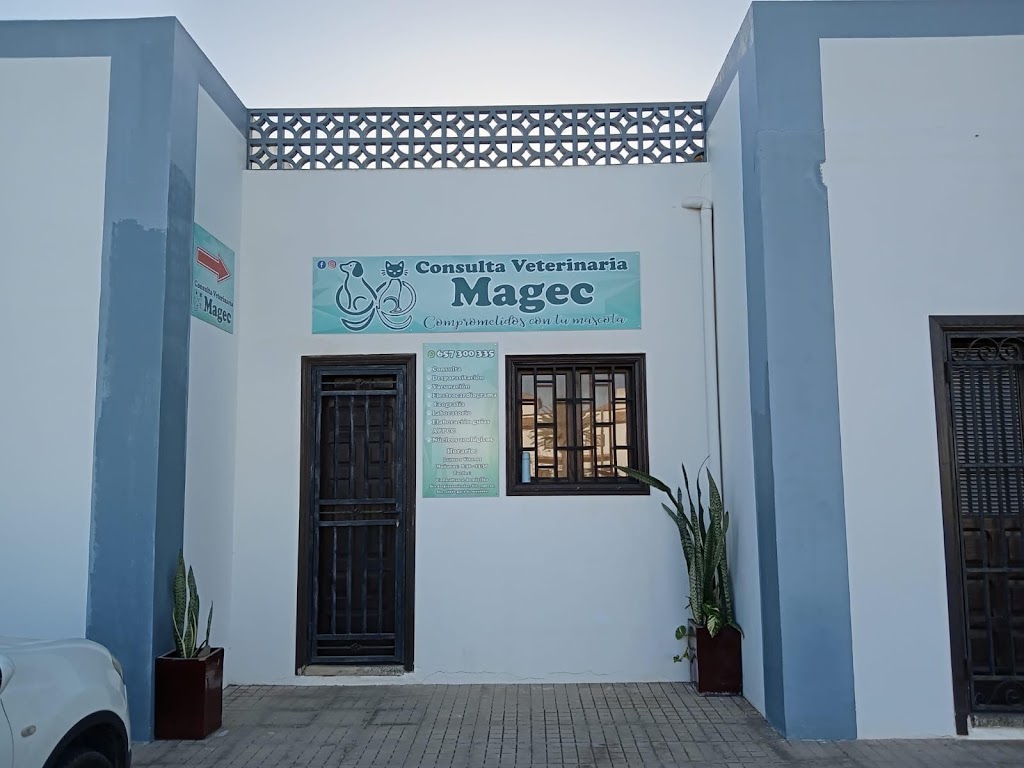 Consulta veterinaria Magec — Del propietario