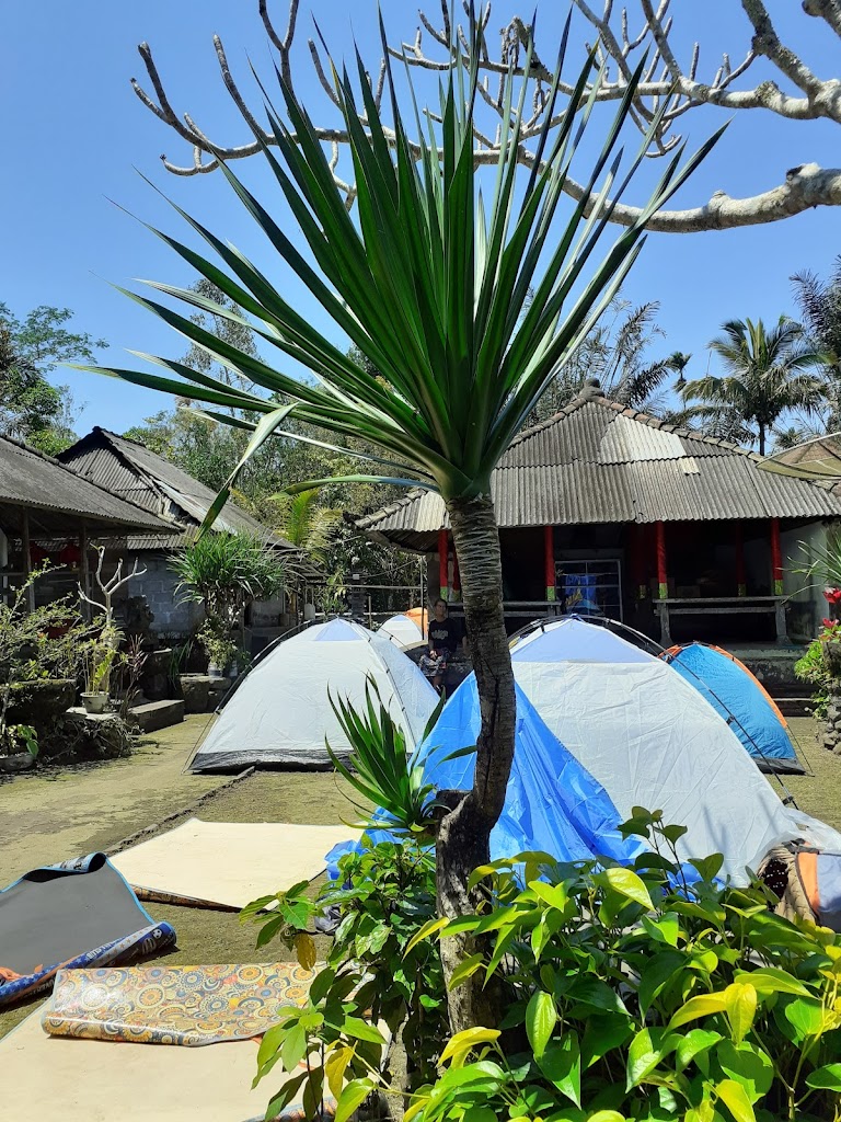 Hap Camp Bali