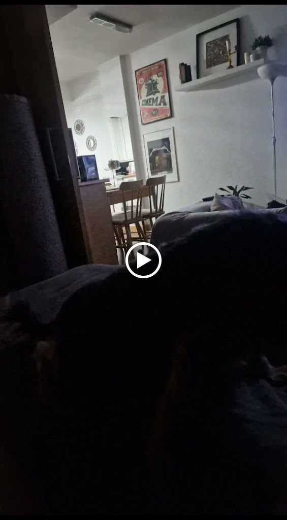 Les Petites — Videos