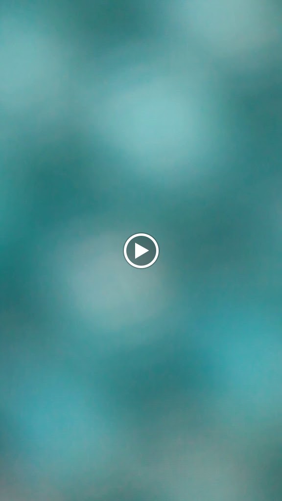 Restaurante Mucky Duck — Videos