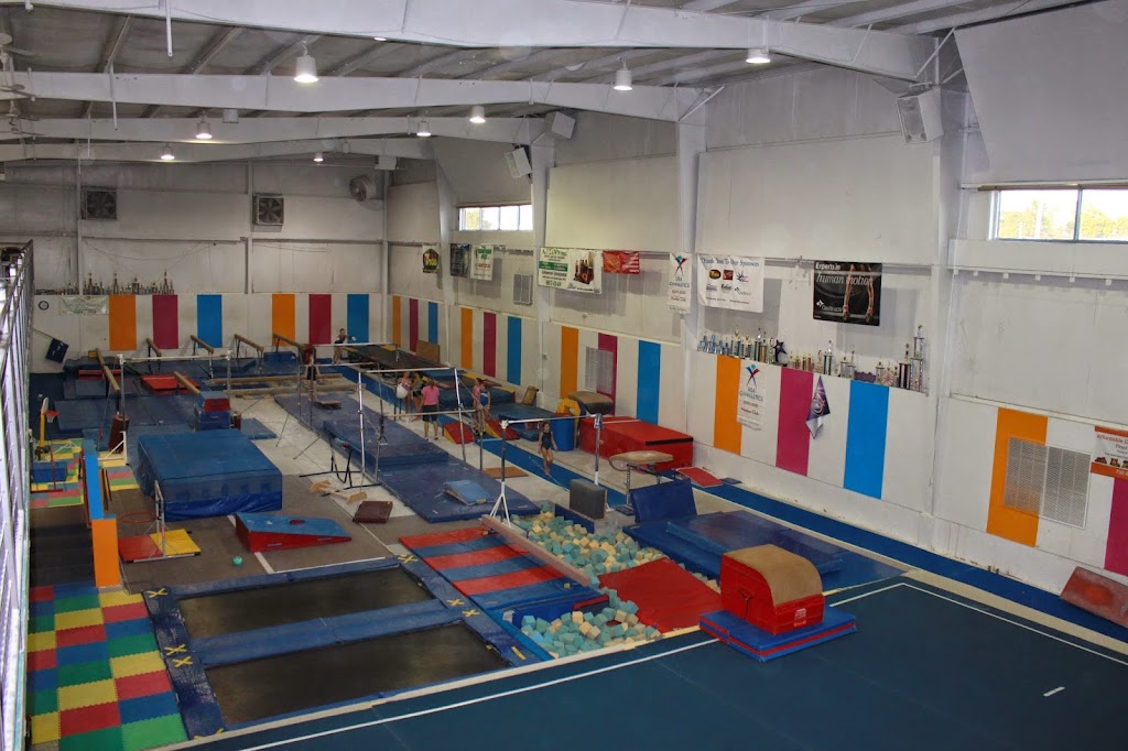  Dynamics Gymnastics and Dynamics Dance