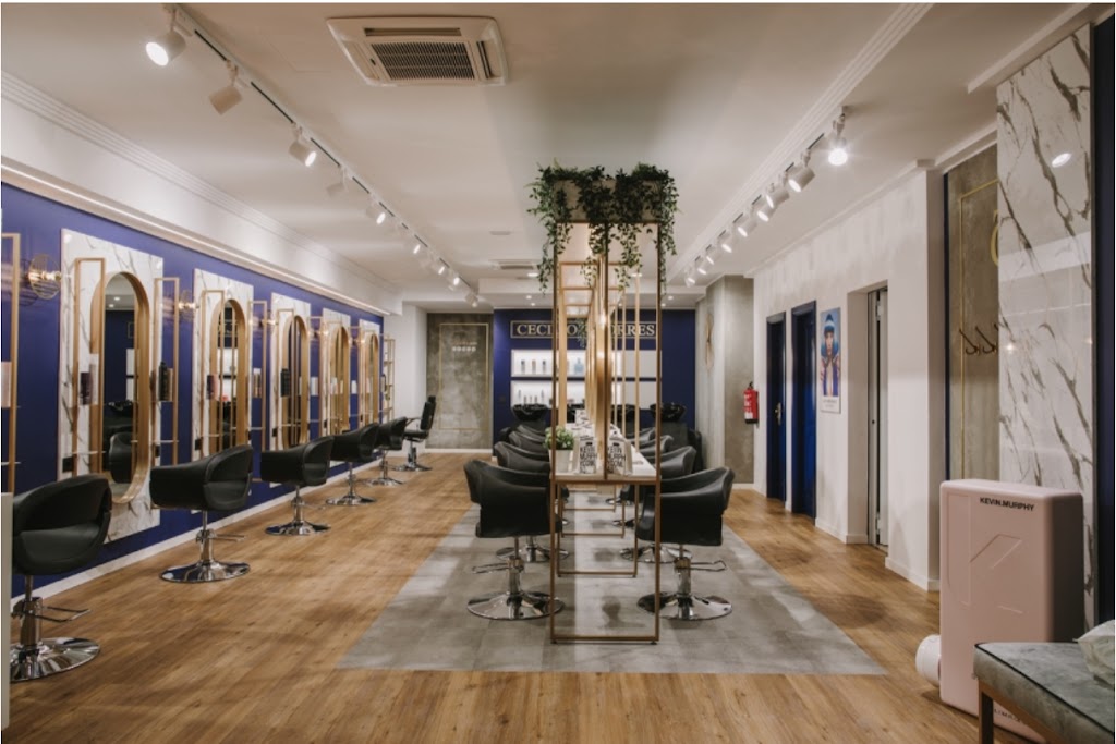 Salon Cecilio Torres — Interior