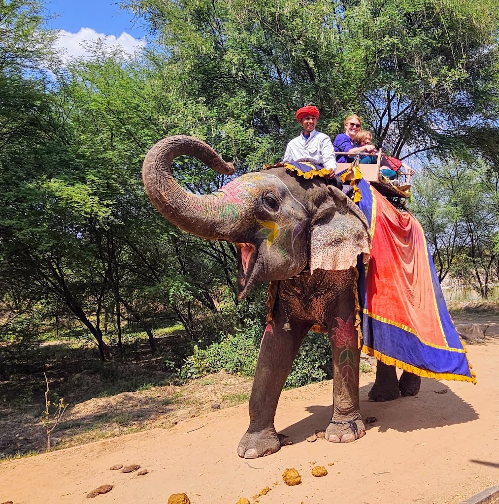  Lucky Elephant Yoga and Wellness