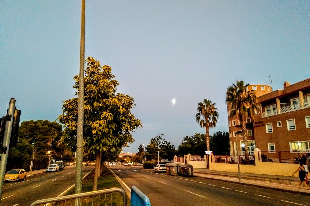 Dona Rosa — De los visitantes