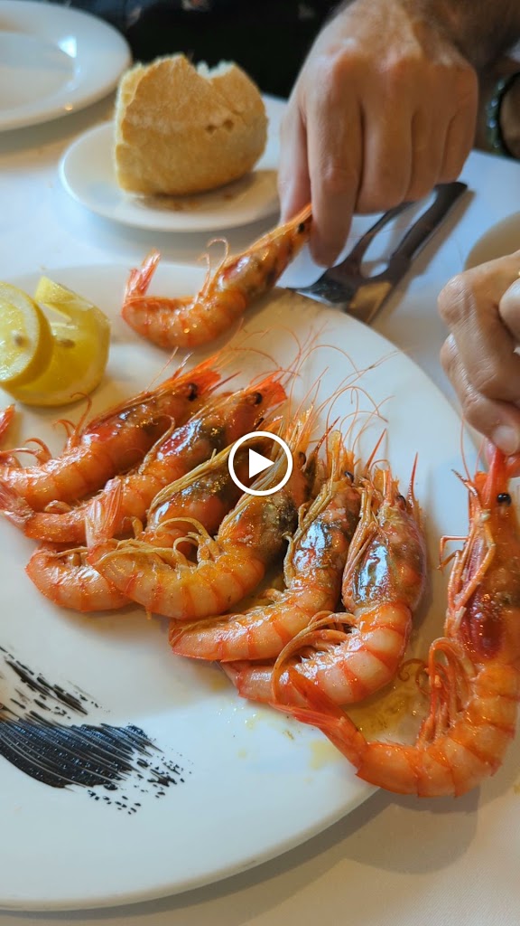 El Chispial — Videos