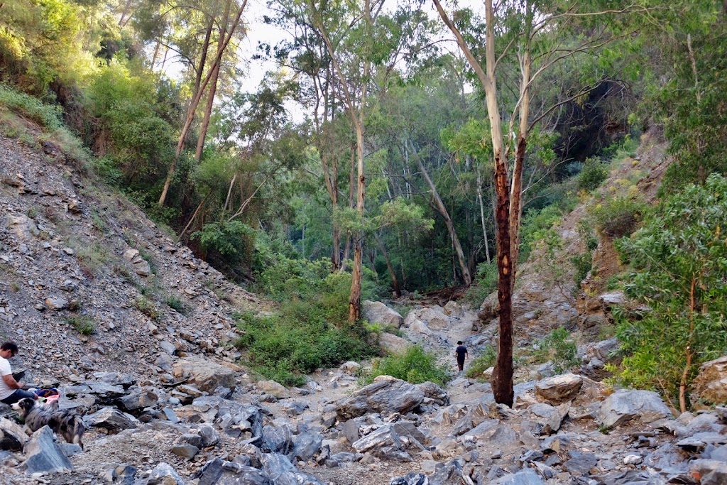 Arroyo de Don Ventura