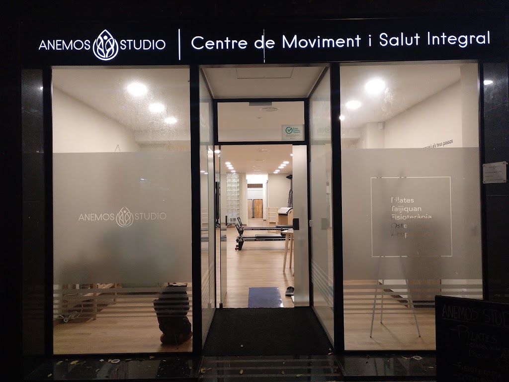 Anemos Studio - Centre de Moviment i Salut Integral — Del propietario