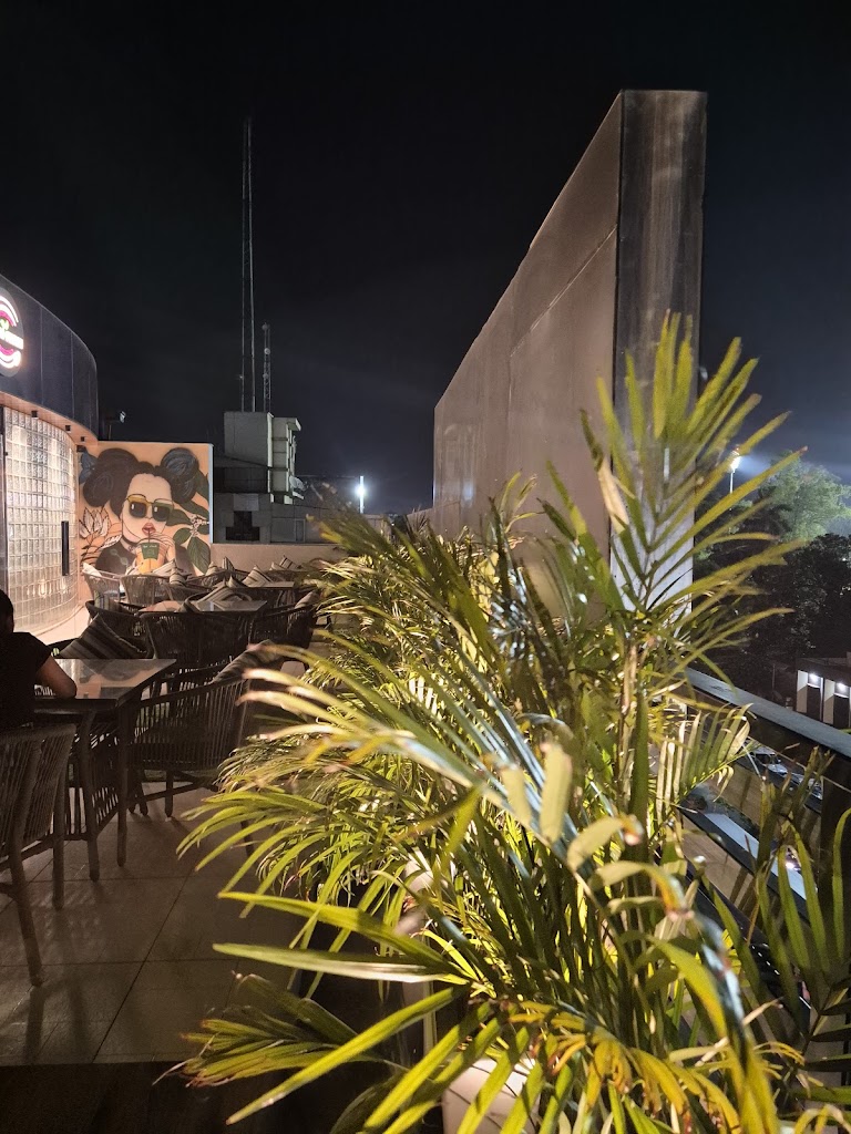 Hotel Golden Peacock Multi Cuisine Restaurant Rooftop Restaurant Flavour On Fusion