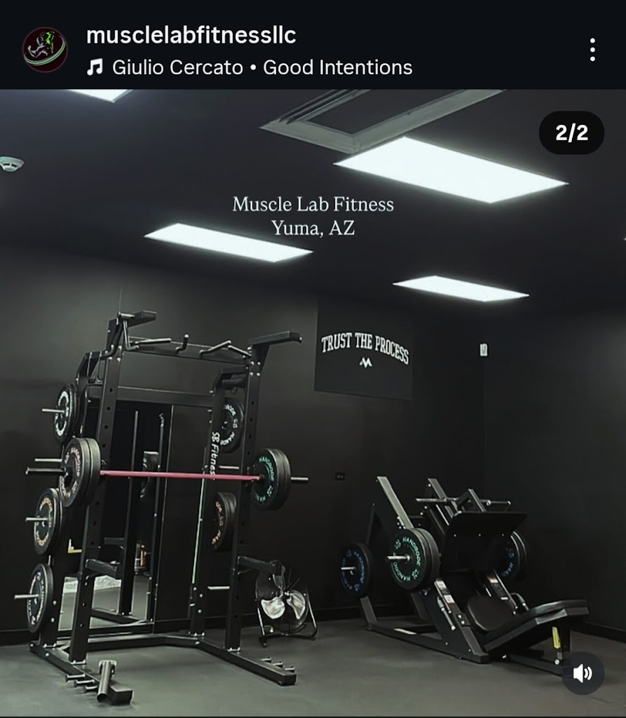  Muscle Lab Fitness Gym