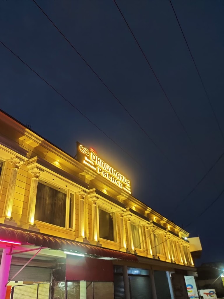 Hotel Dhruvnanda Palace