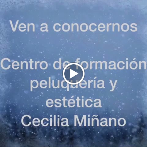 Centro de formacion de peluqueria y estetica Cecilia Minano — Del propietario
