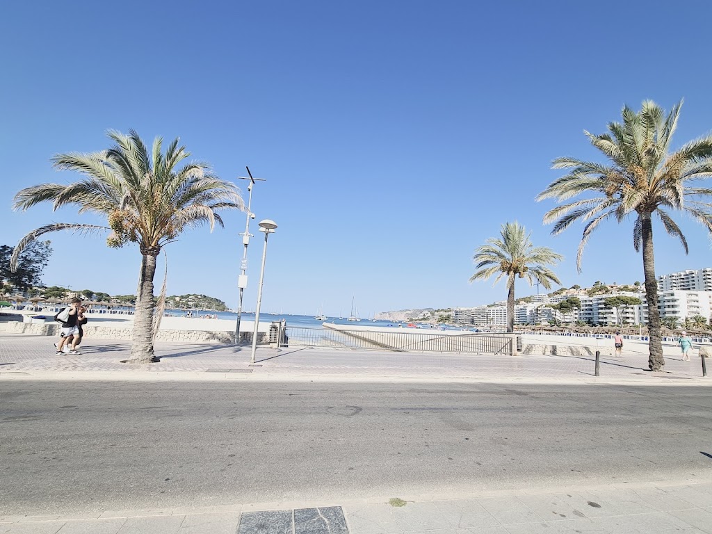 Souvenir Olivo Julve