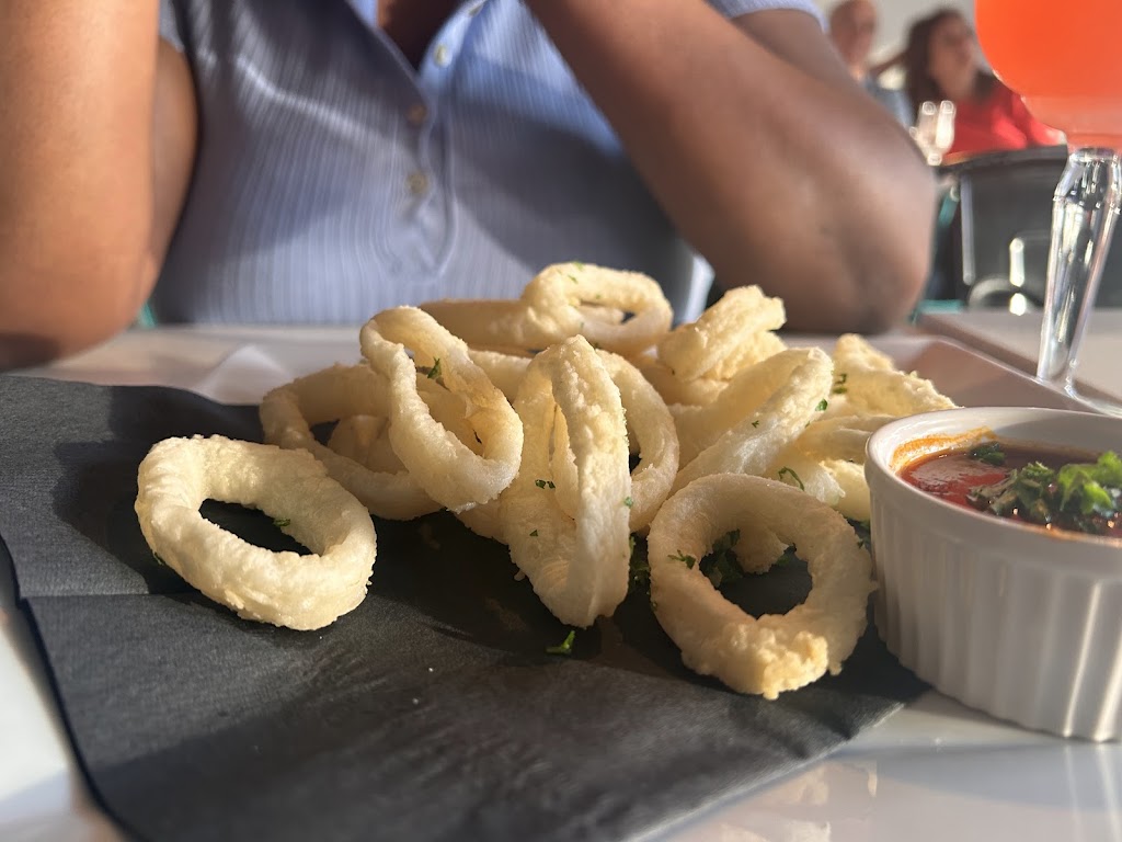 Squid