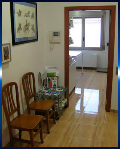 Consultori Veterinari Ricard Graells — Del propietario