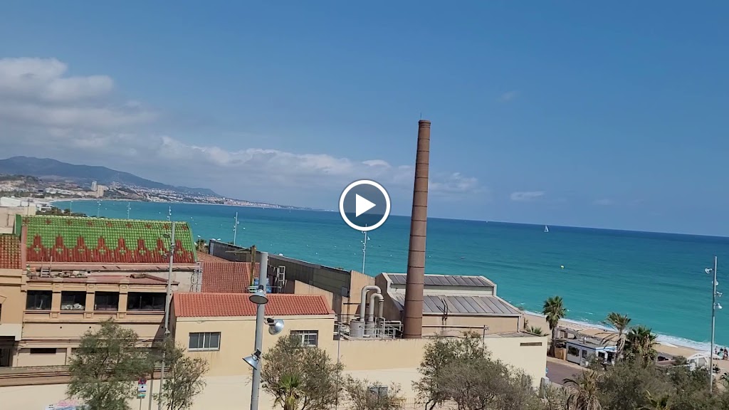 The Good Monkey — Videos