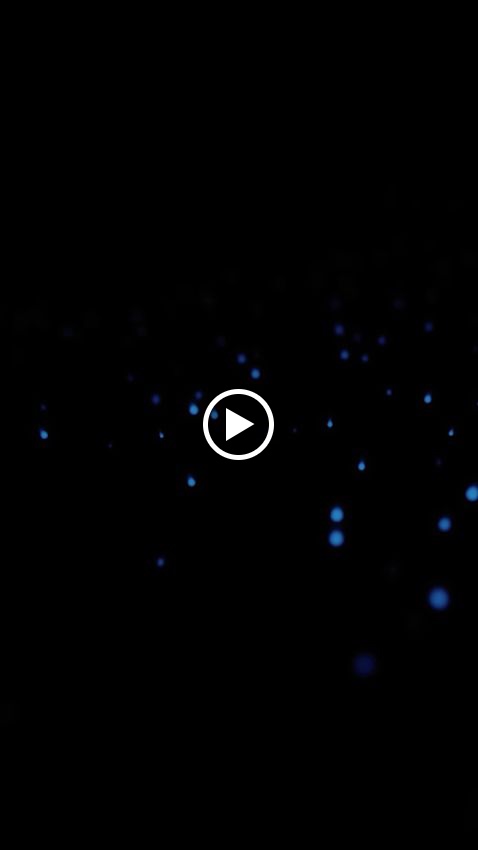 Bluemusic Valencia — Videos