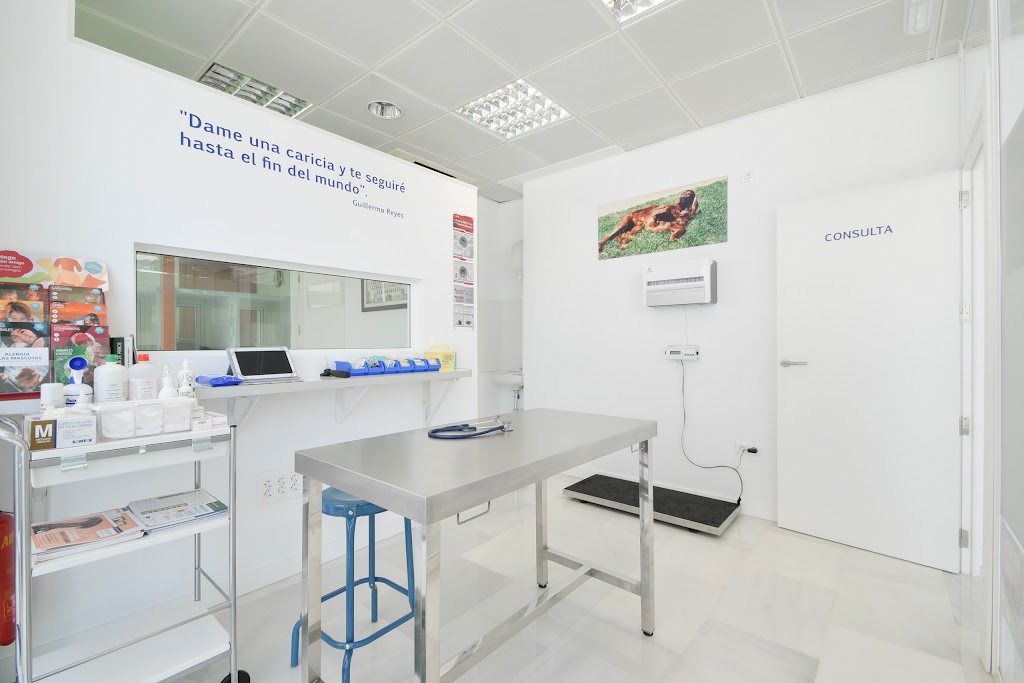Clinica Veterinaria Poveda — Del propietario