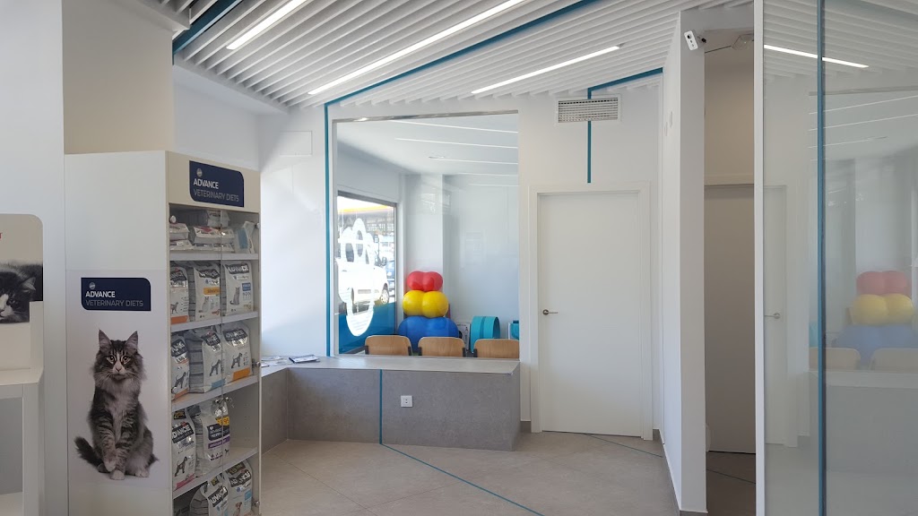 Hospital Veterinario San Anton S. L. — Del propietario