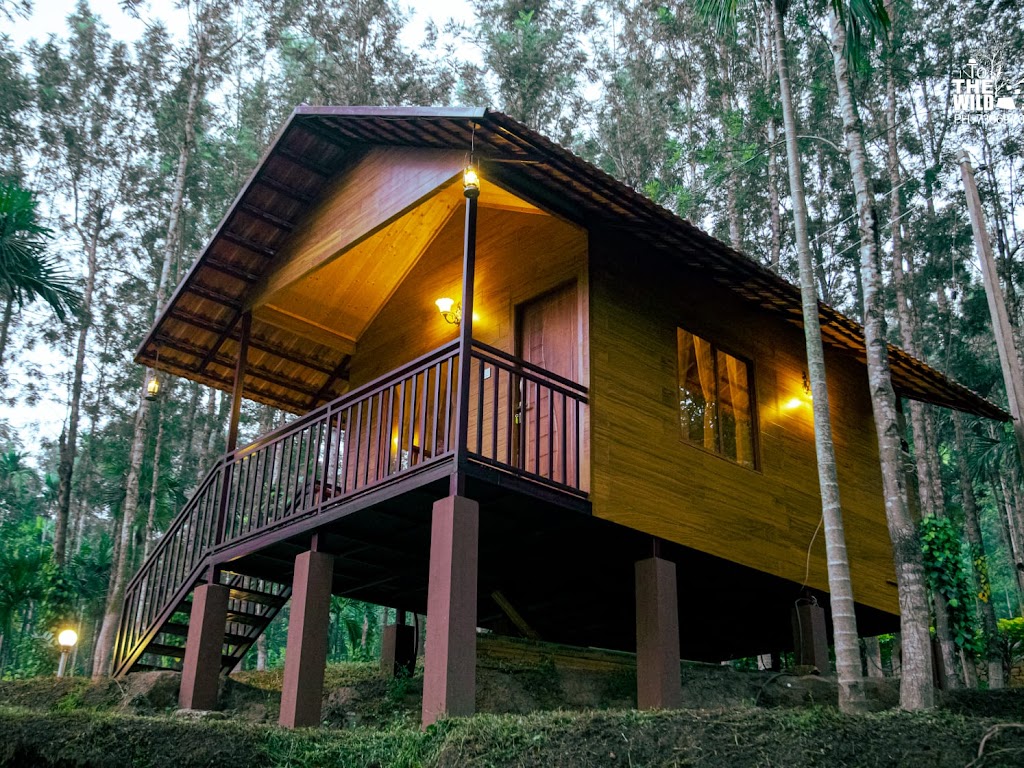 Into The Wild Eco Stay