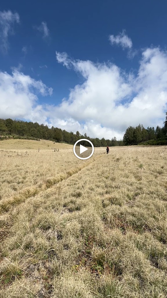 Pasla Camp ( SEWA ALAT CAMPING KOTA STABAT & Binjai, Langkat)