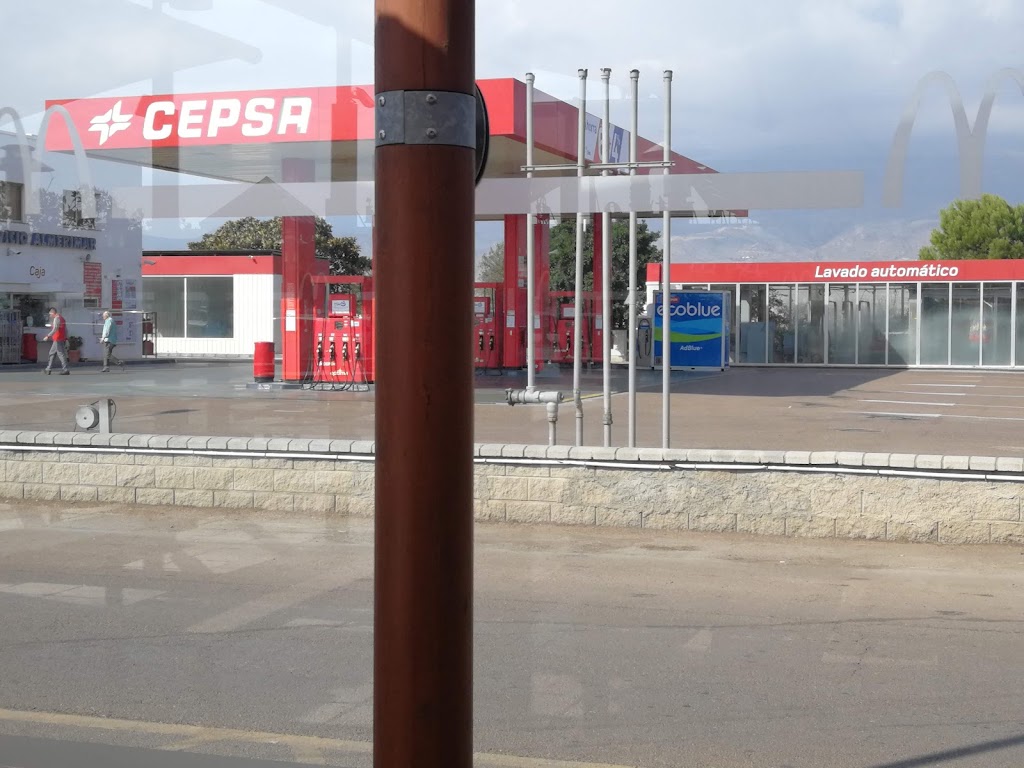 Estacion de servicio Cepsa — Surtidor de combustible