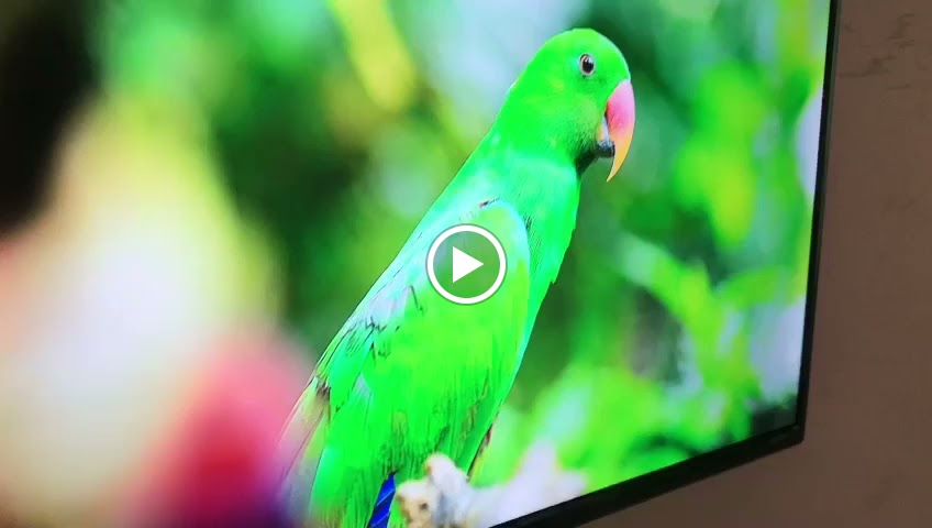 Videos
