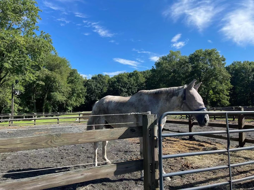 Equestrian facility in South Hadley