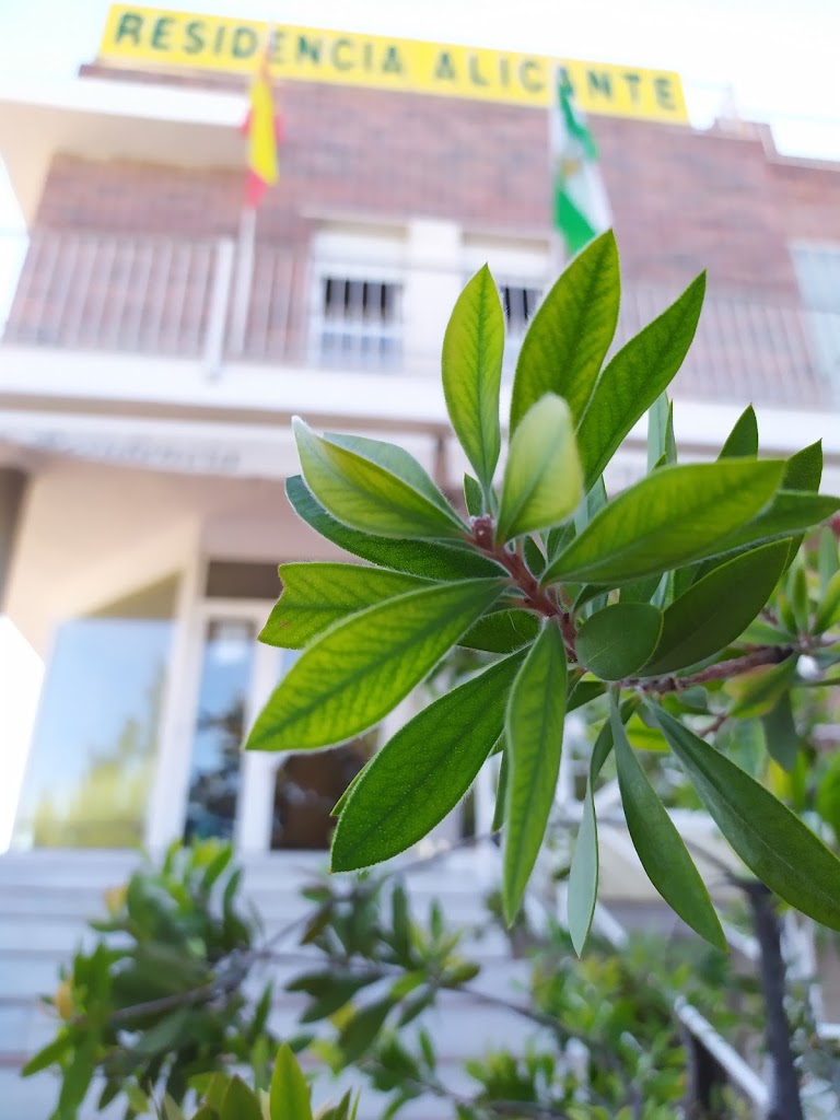 Residencia Alicante