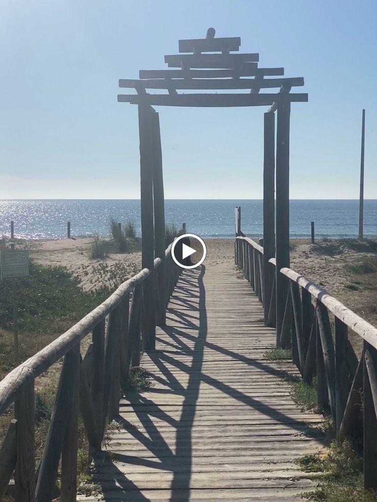 Kiosco bar Playa Camaron — Videos