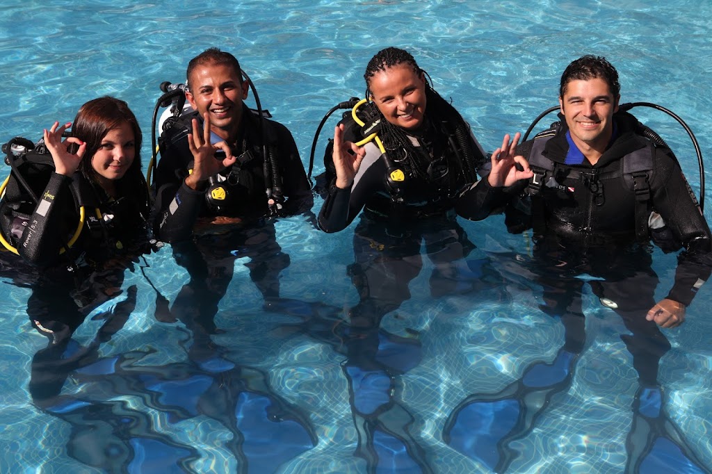 Delphinus Diving School