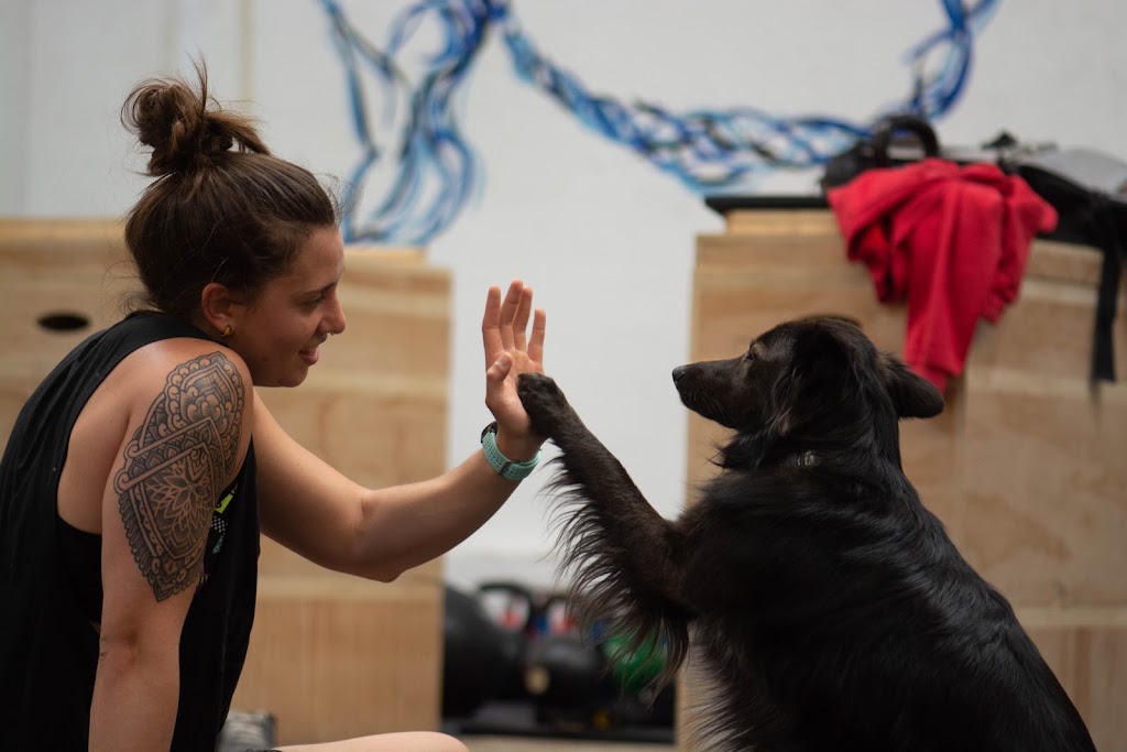 Fitness DR Box en Huesca — Del propietario