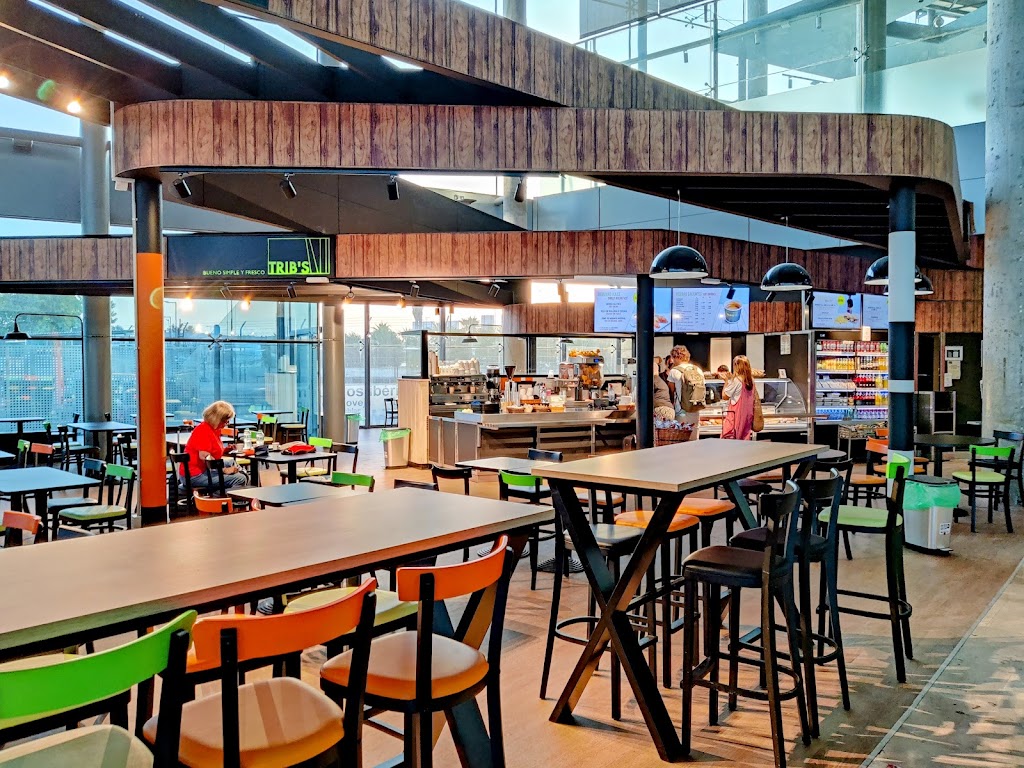 Trib S Aeropuerto Valencia