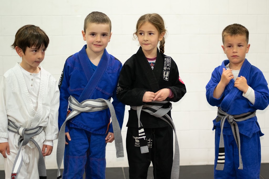 Valles Jiujitsu — Arte marcial