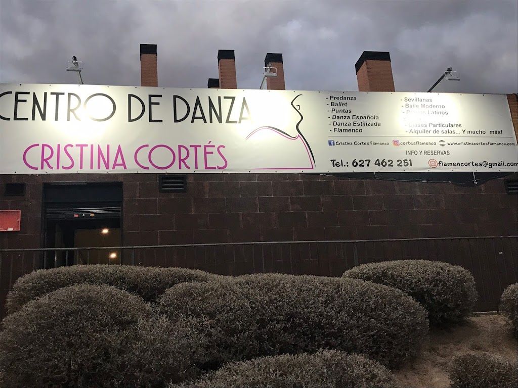 CENTRO DE DANZA CRISTINA CORTES