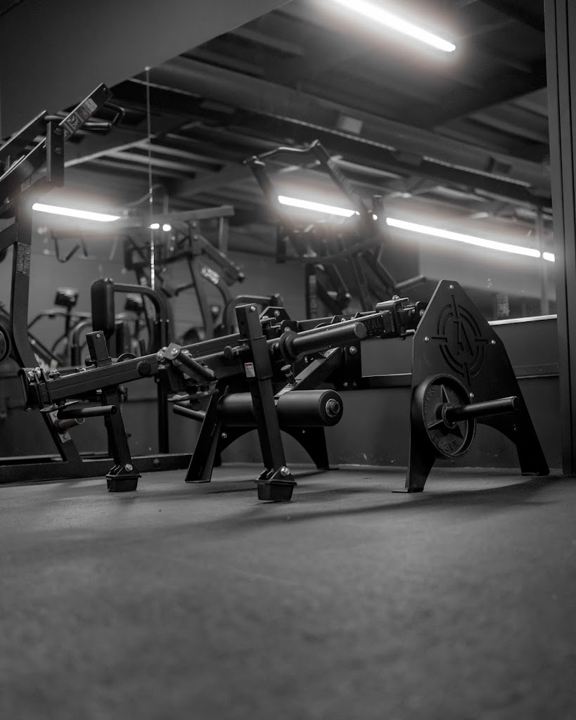  Infinite Training Systems