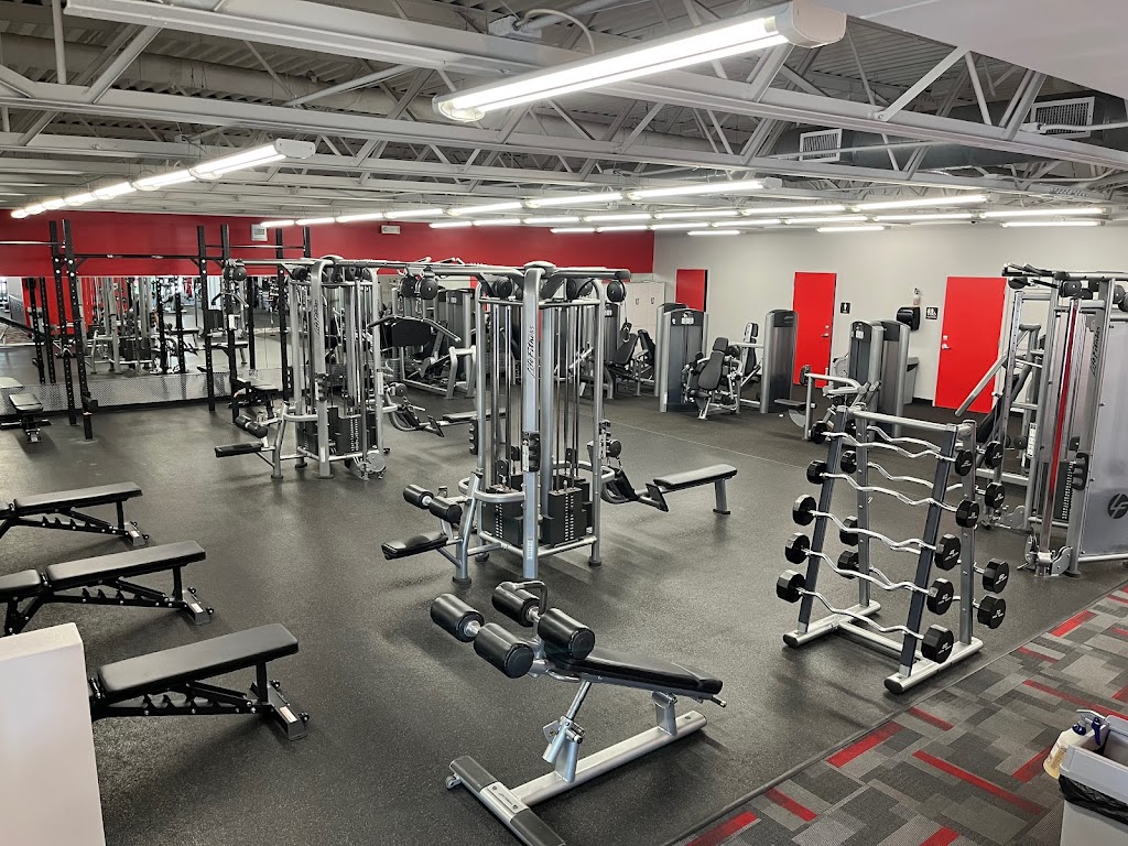  Apex Active on Fleur