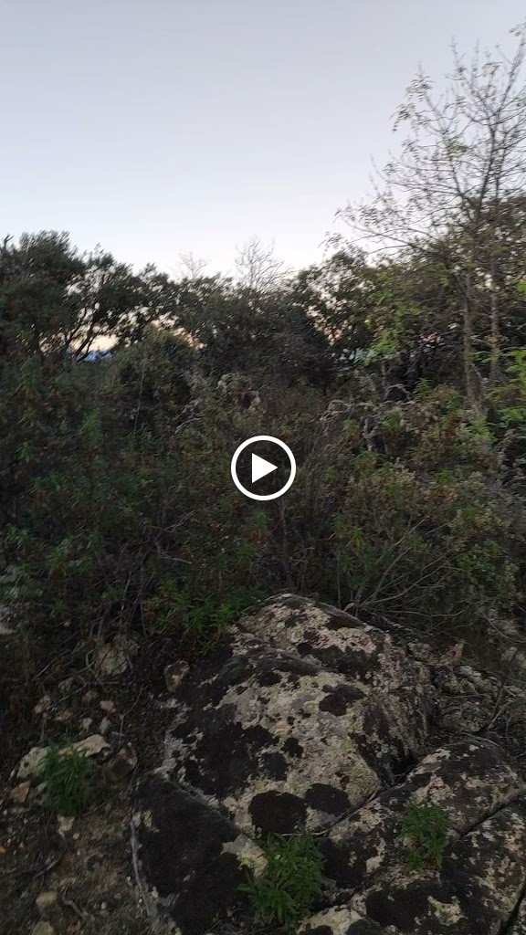 Arroyo San Gregorio- camino circunvalacion - Ctra Torrelodones — Videos