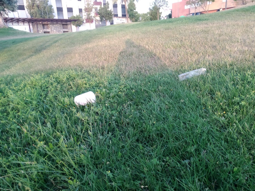 Cesped Dehesa de la Villa