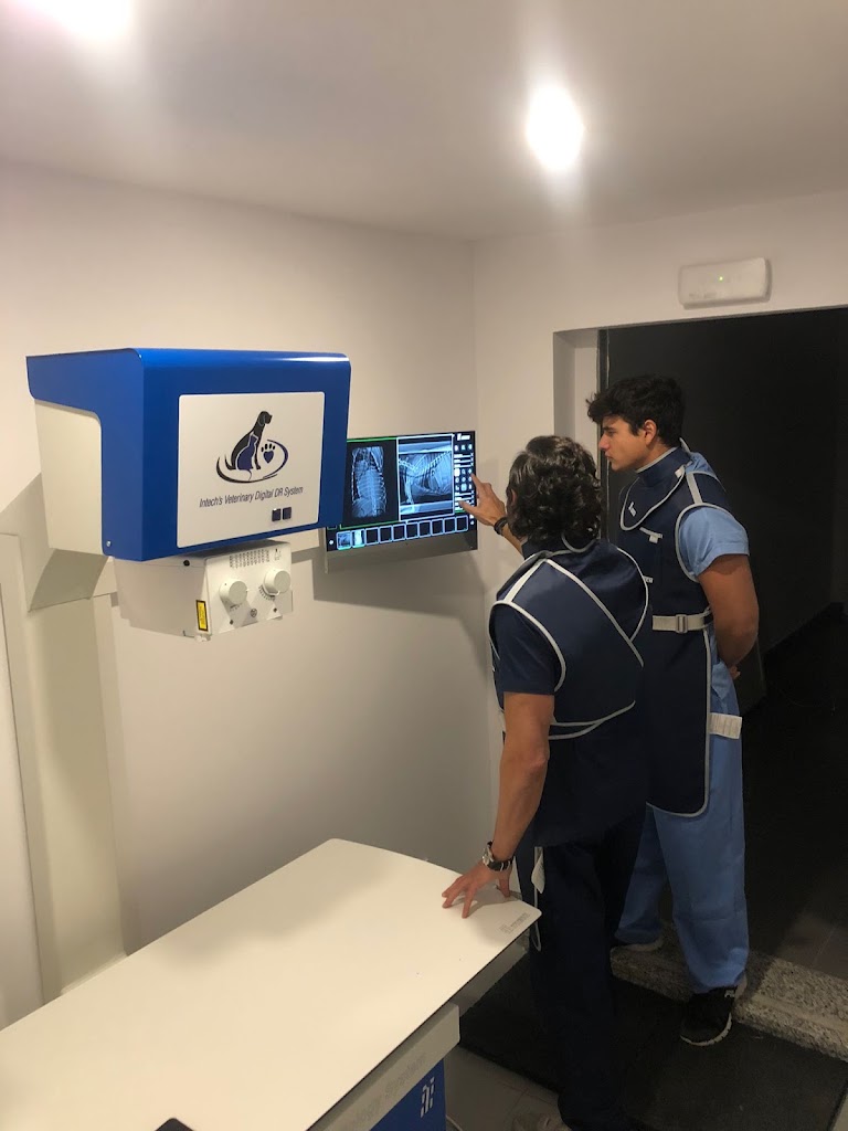 Clinica Veterinaria Dr Eugenio Cabezas — Del propietario
